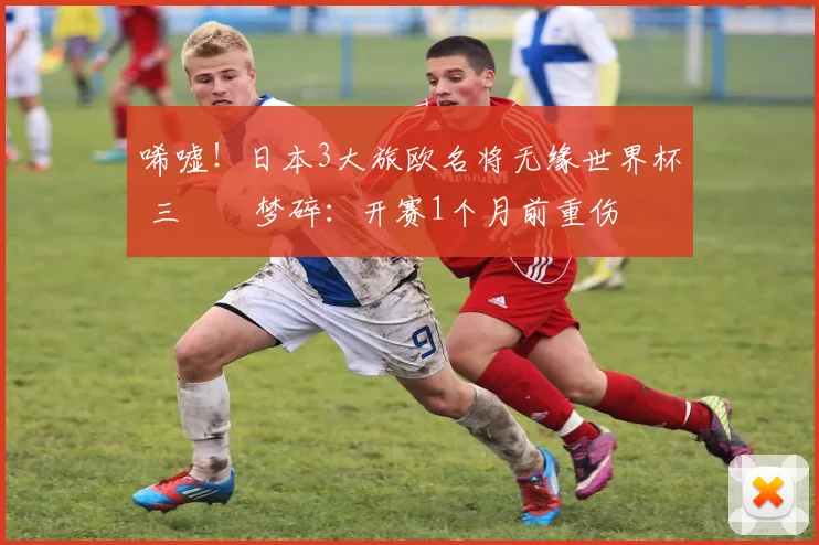 唏嘘！日本3大旅欧名将无缘世界杯 三笘薫梦碎：开赛1个月前重伤